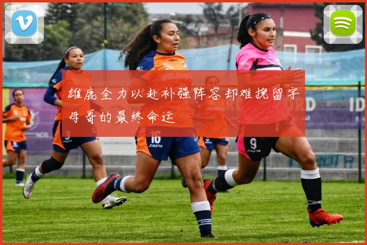 雄鹿全力以赴补强阵容却难挽留字母哥的最终命运